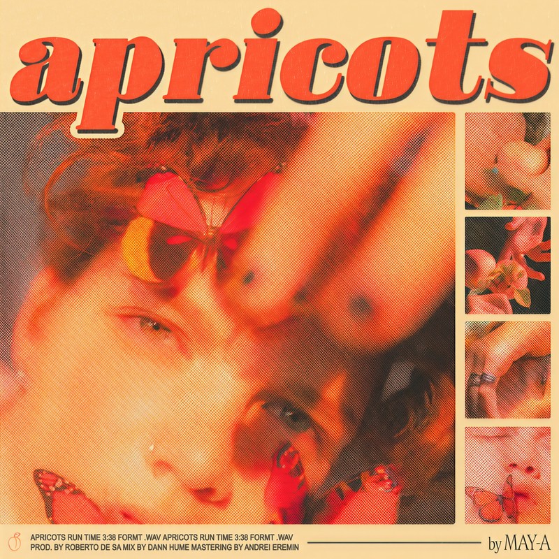 Apricots封面