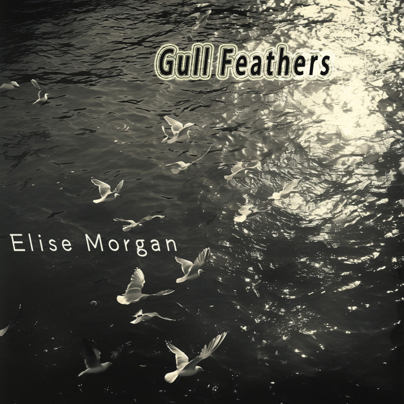 GullFeathers封面