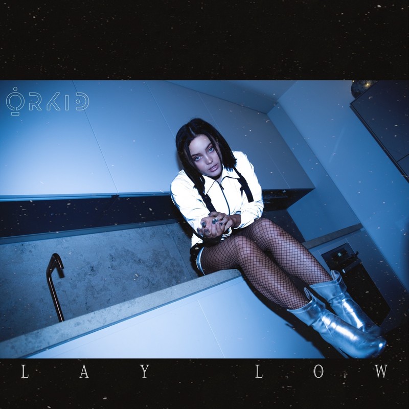 LayLow封面