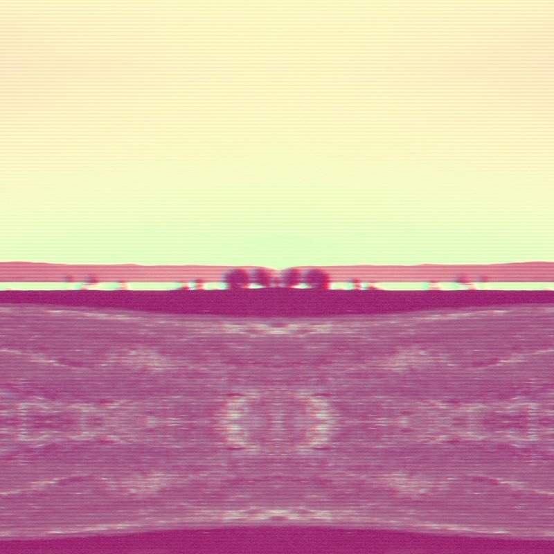 Hallucination封面