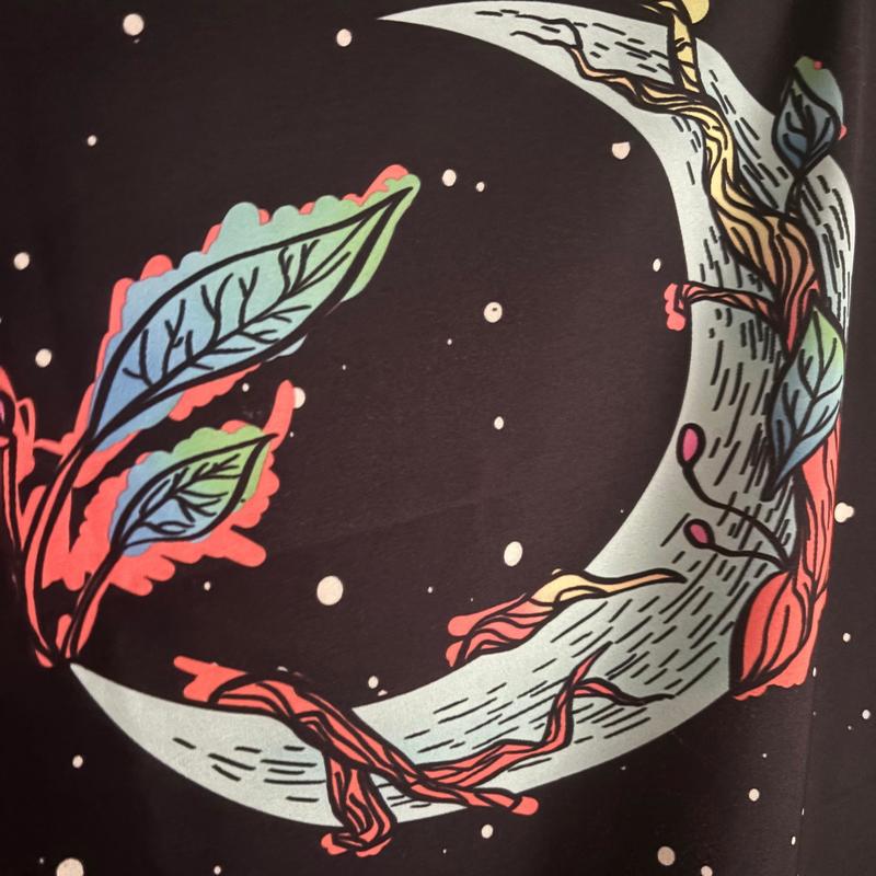 2themoon封面