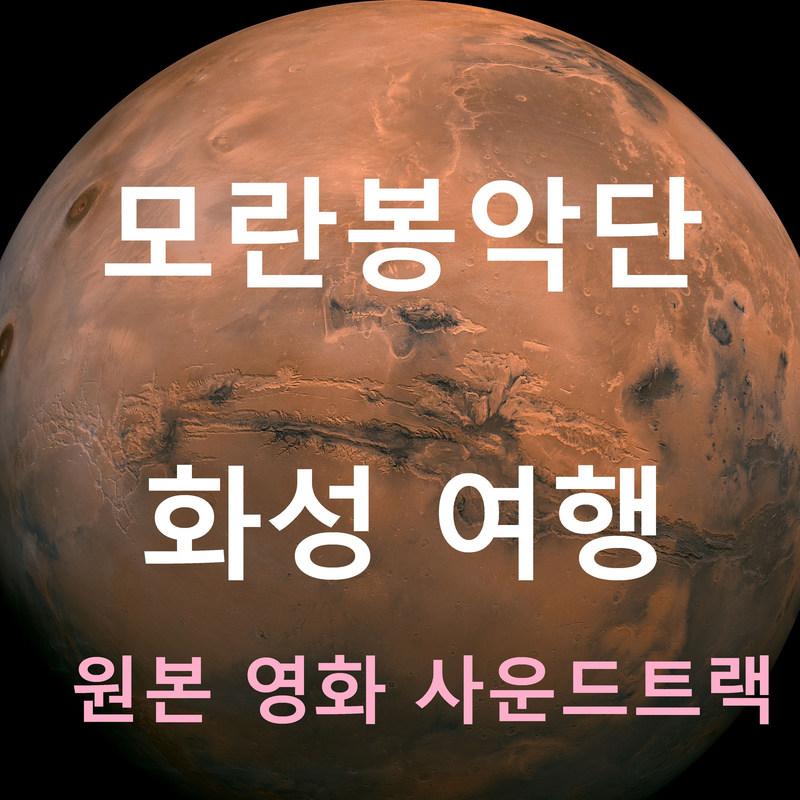 배우자封面