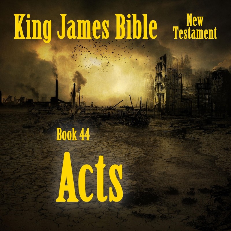 ActsoftheApostles5封面