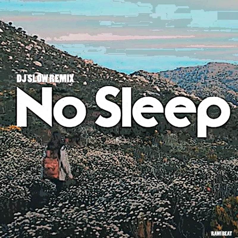 DJNoSleepSlowRemix封面