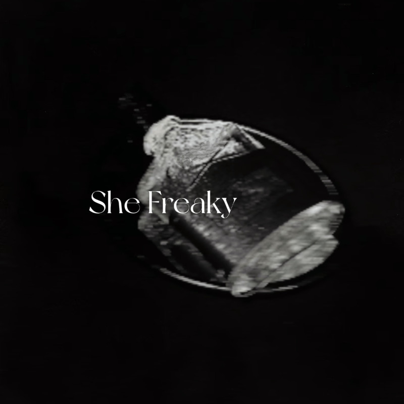SheFreaky封面