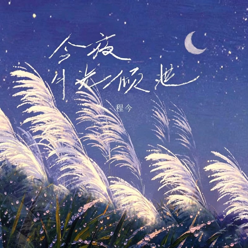 今夜月光倾泄封面