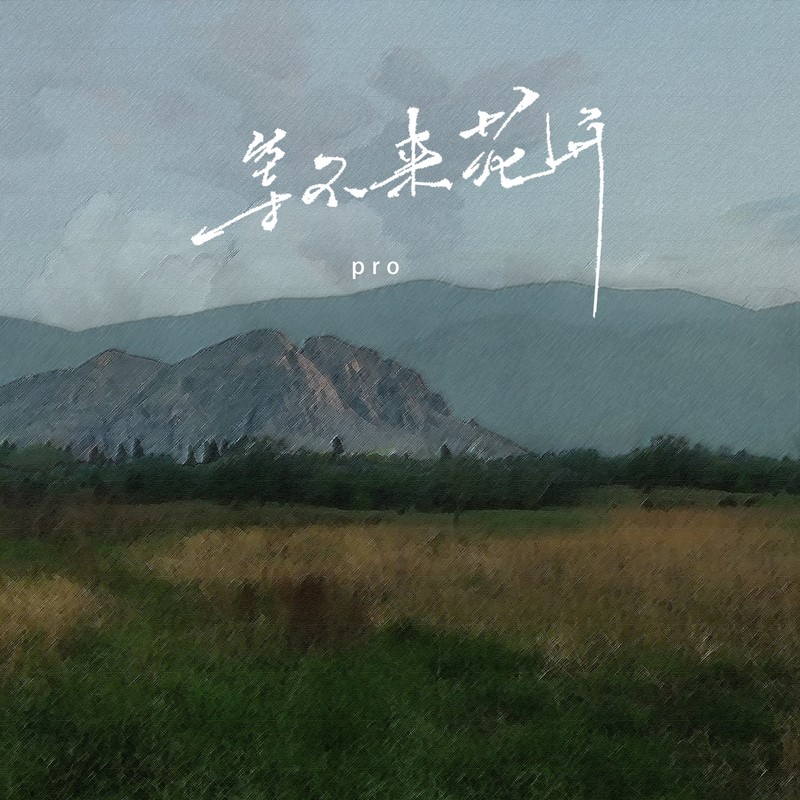 等不来花开封面