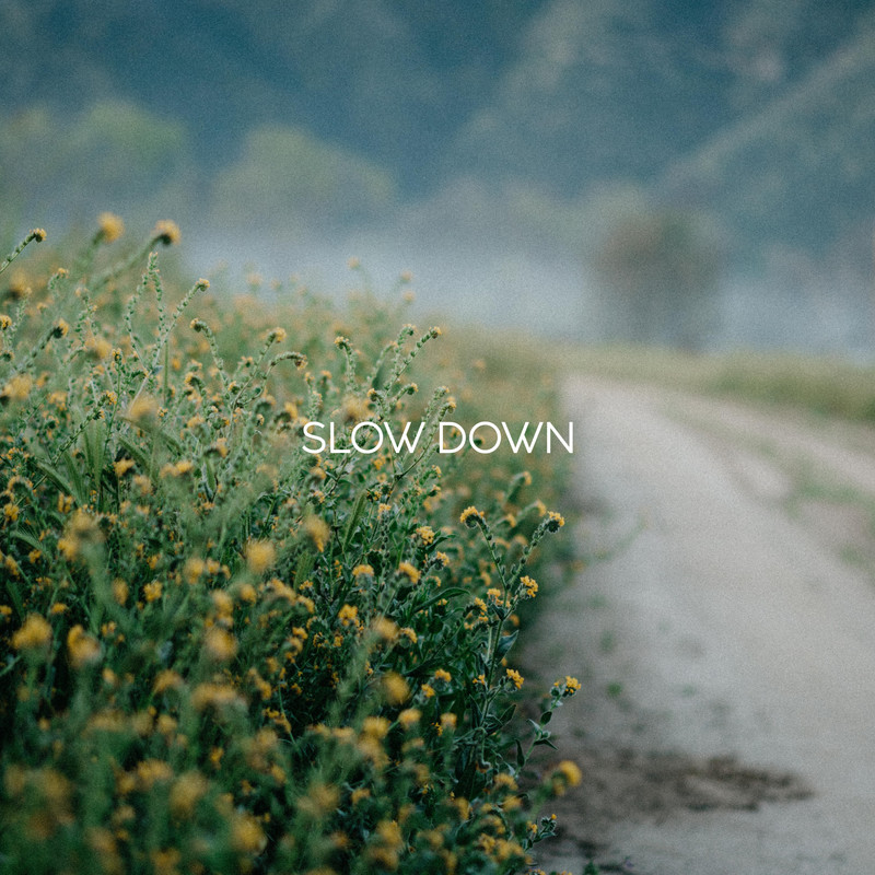 SweepDown封面