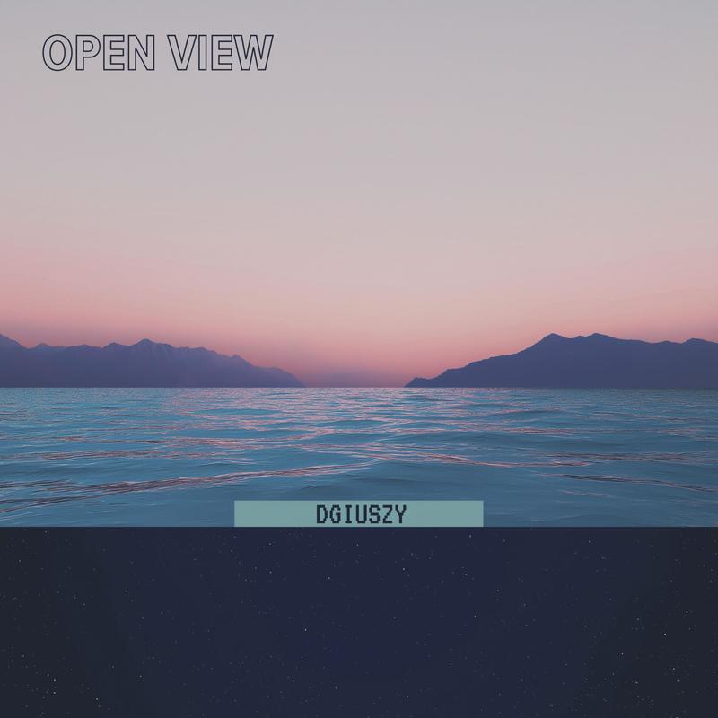 OpenView封面