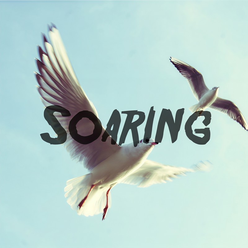 Soaring封面