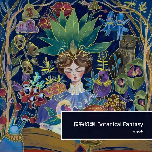女巫飞行的夜晚封面
