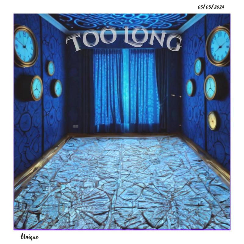 TooLong封面