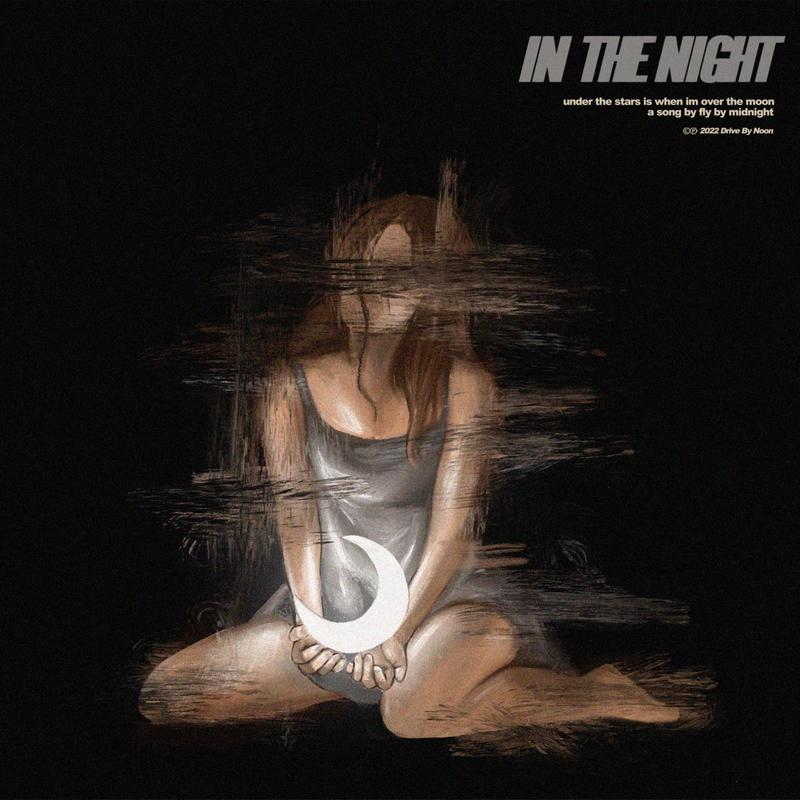 InTheNight封面