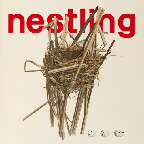 nestling封面