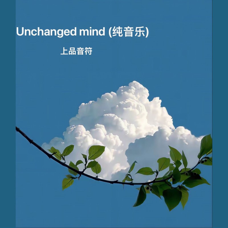 Unchangedmind(Inst.)封面