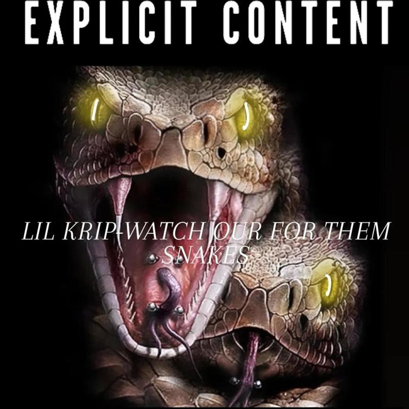 WATCHOUTFORTHEMSNAKES封面
