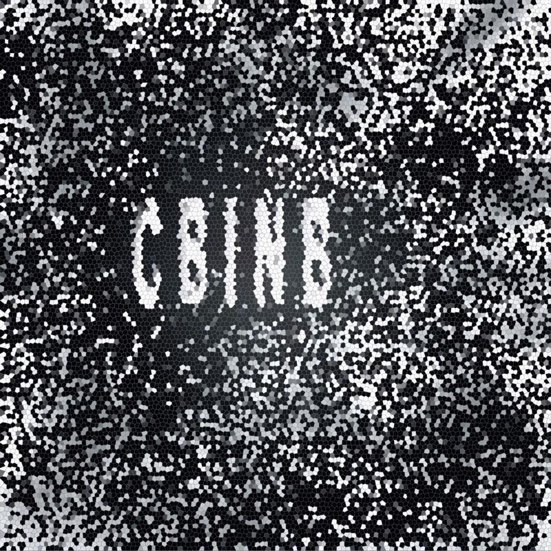 CBINB封面