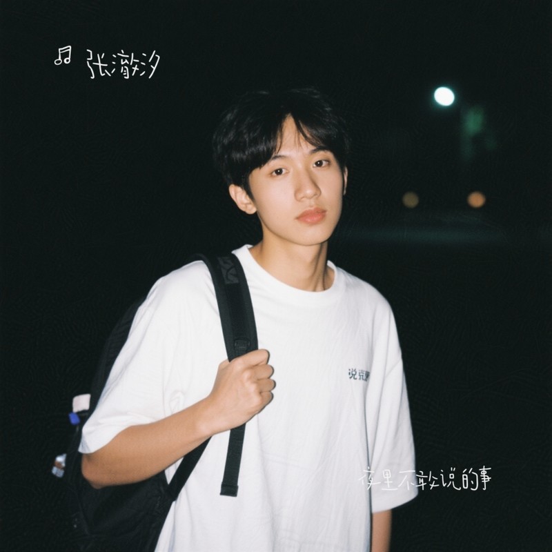 夜里不敢说的事封面