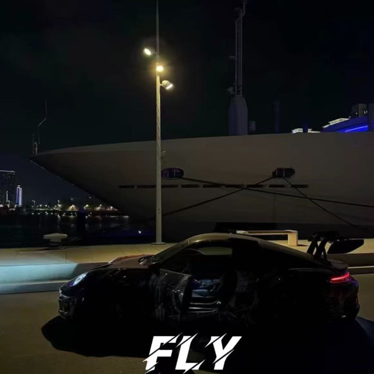 Fly封面