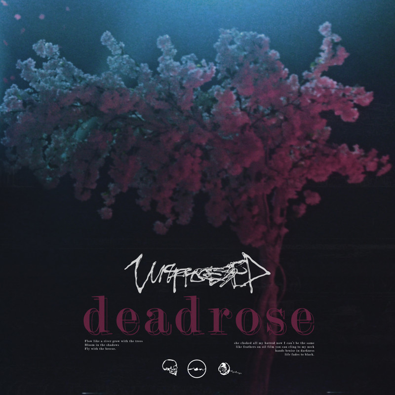 Deadrose封面