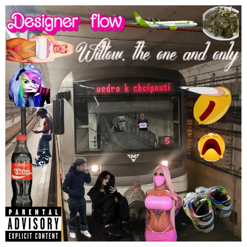 DesignerFlow封面
