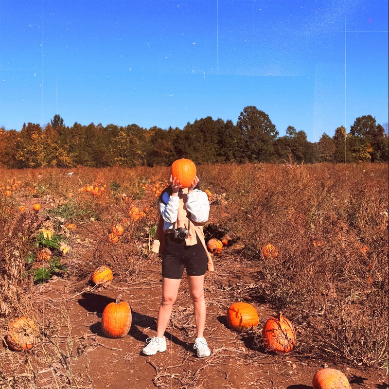 BackInOctober封面