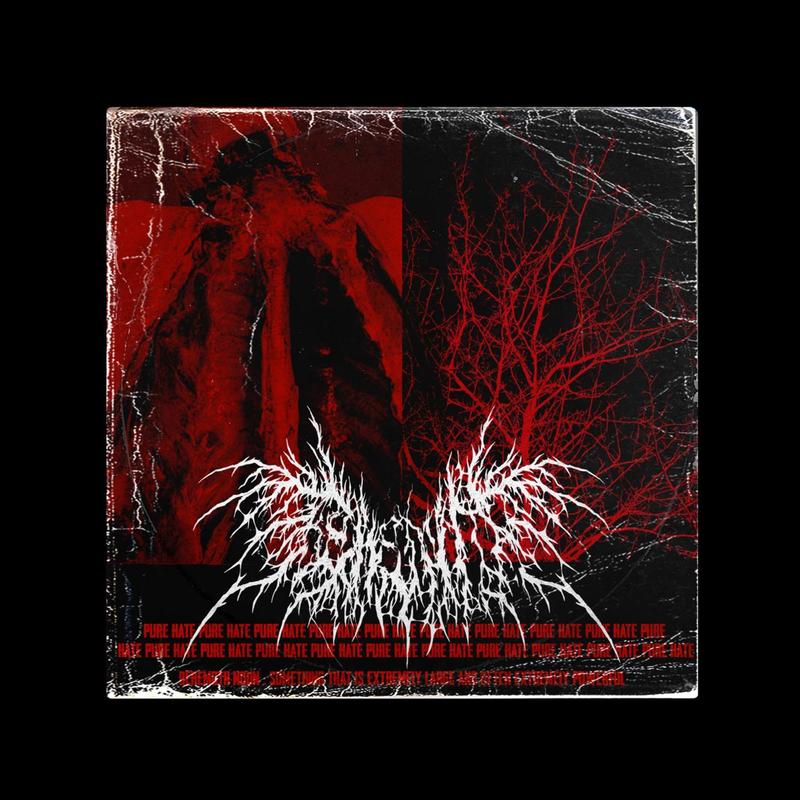 BEHEMOTH封面