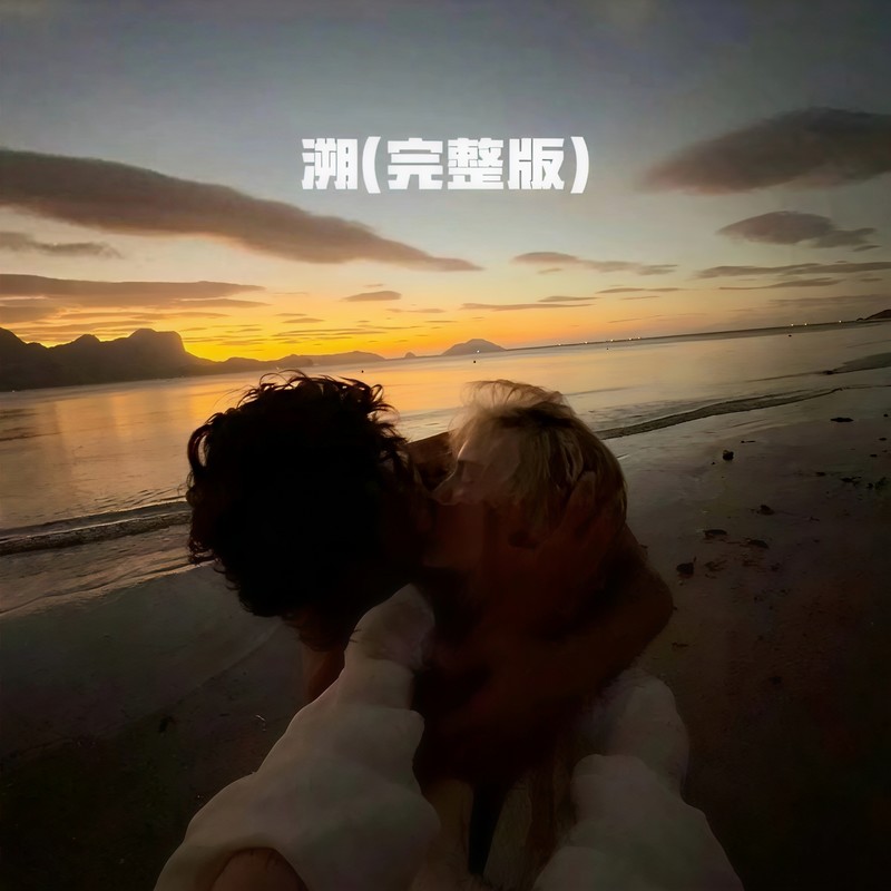溯封面