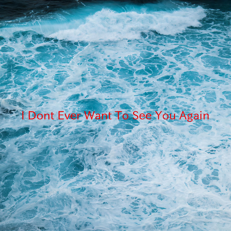 IDon'tEverWantToSeeYouAgain封面