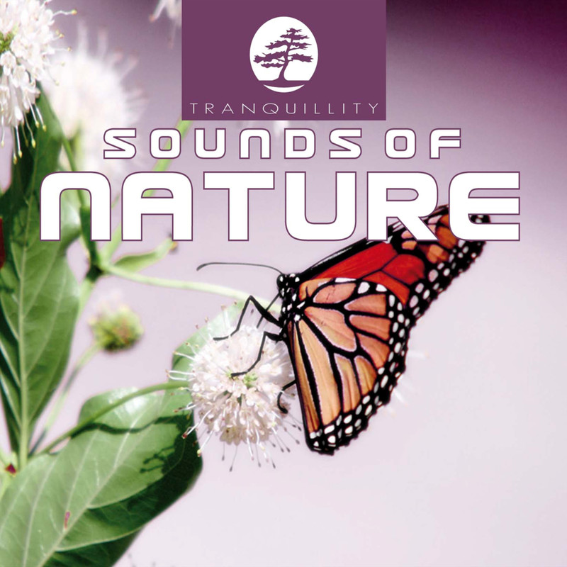 AmbientSoundsOfNaturePart4封面