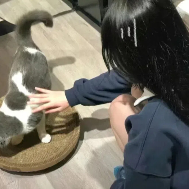 ExHateMeV2封面