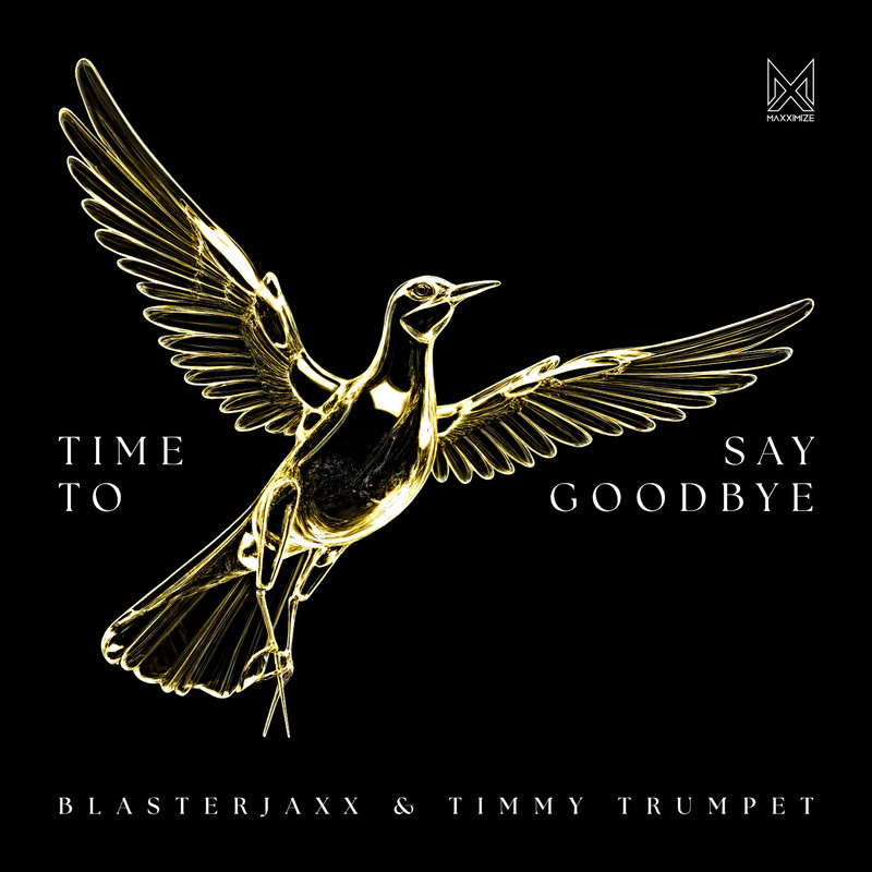 TimeToSayGoodbye封面