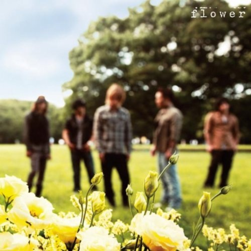 flower封面