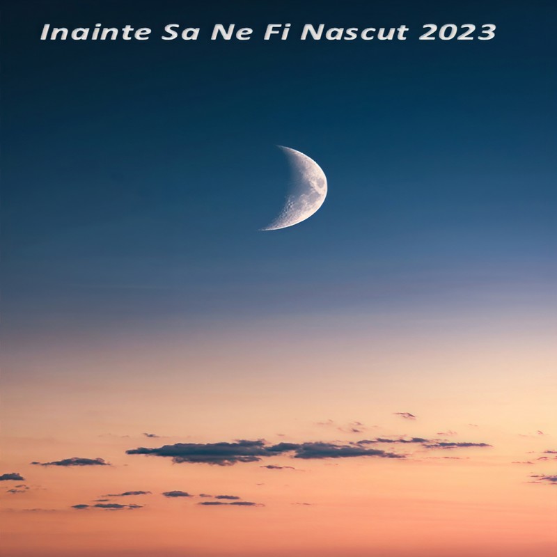 InainteSaNeFiNascut封面