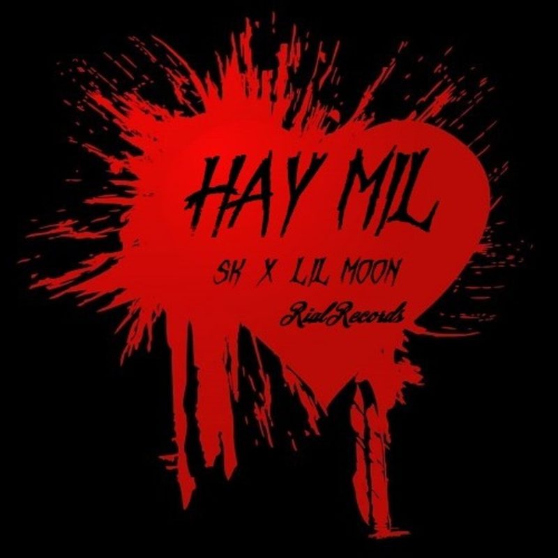 HayMil封面