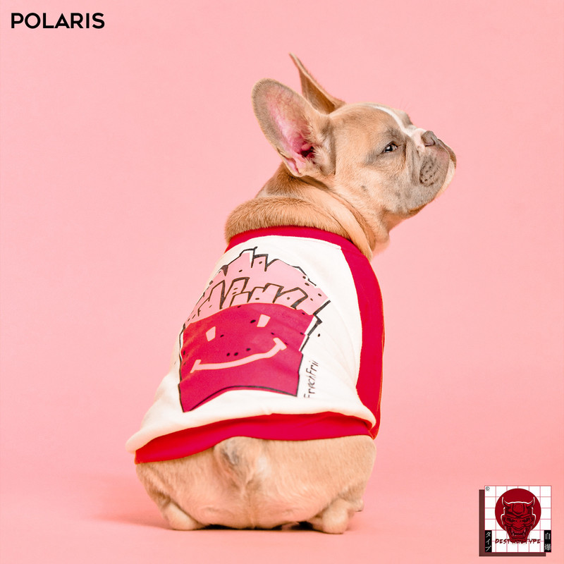 POLARIS封面