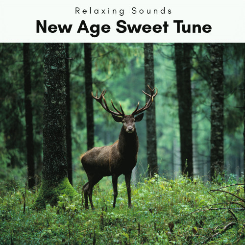 MagicForestMusicforAdvancedDreamspt.2封面