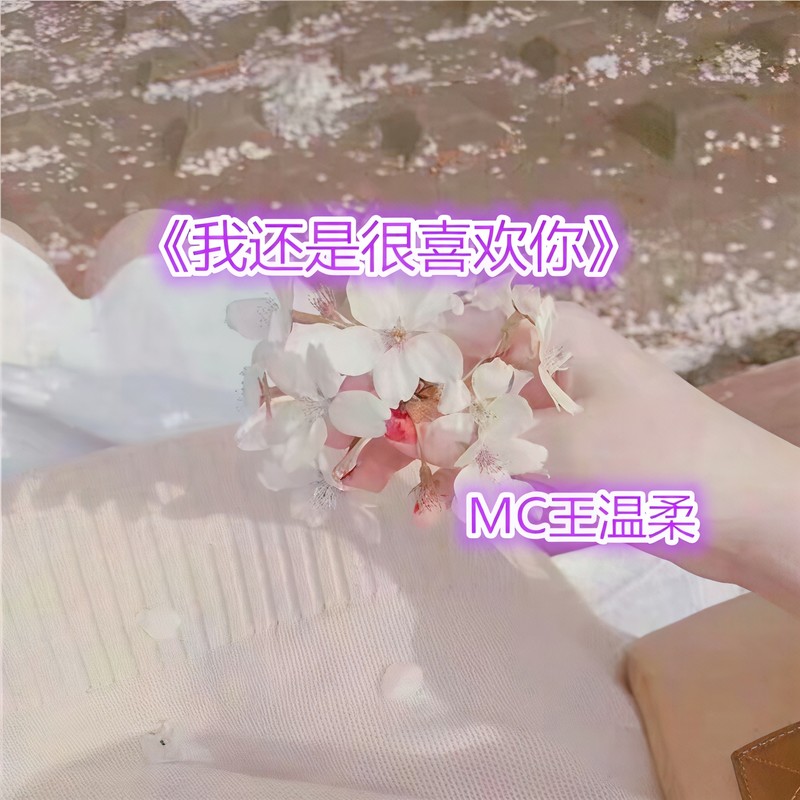 南北封面