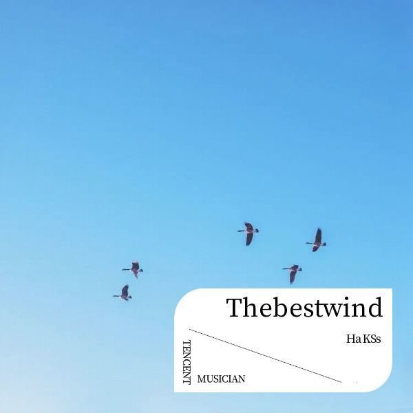 Thebestwind.封面