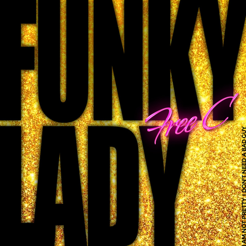 FunkyLady封面