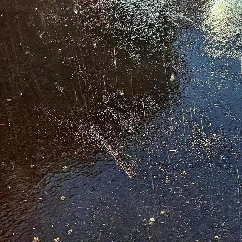 RAIN封面