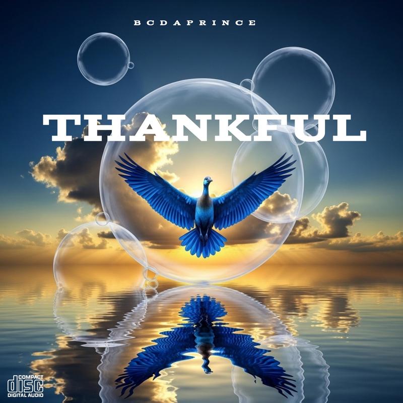 Thankfully封面