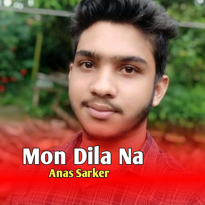 MonDilaNa封面