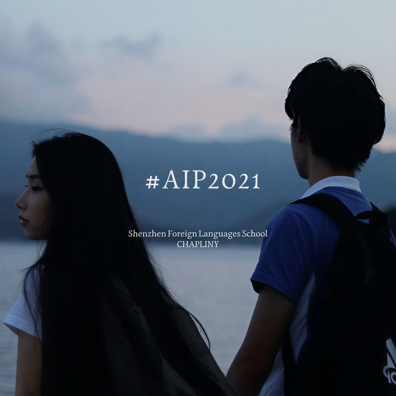 AIP2021封面