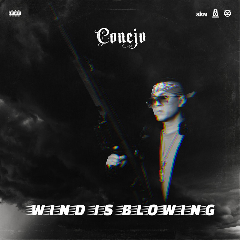 windisblowing封面