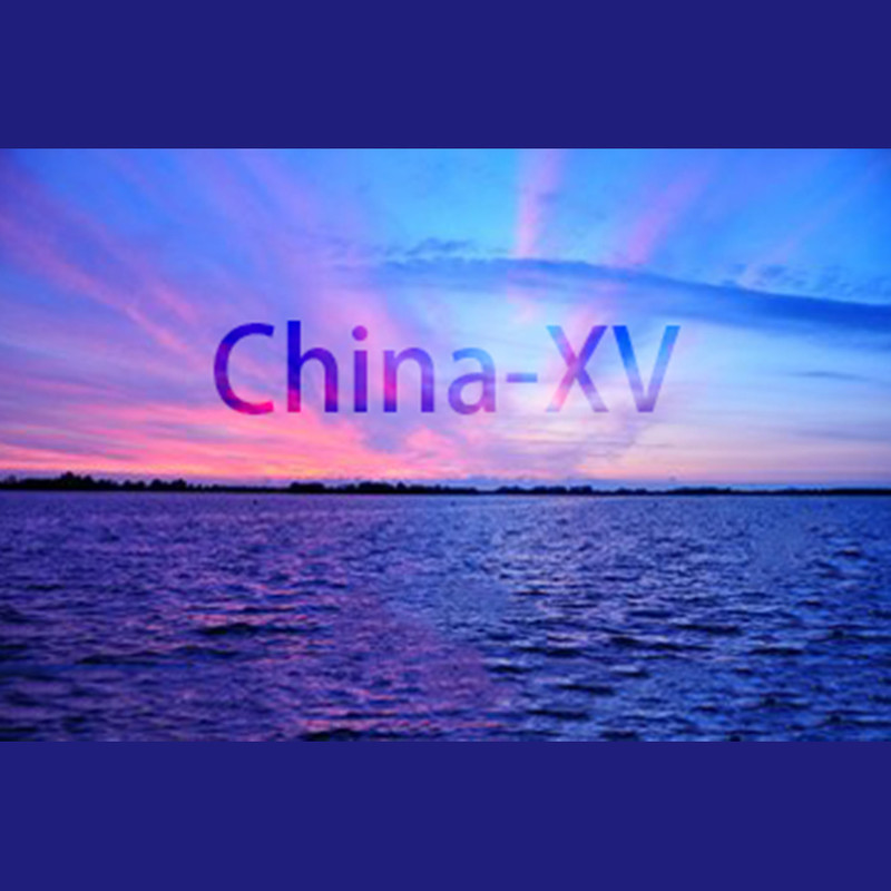 LeapChina封面