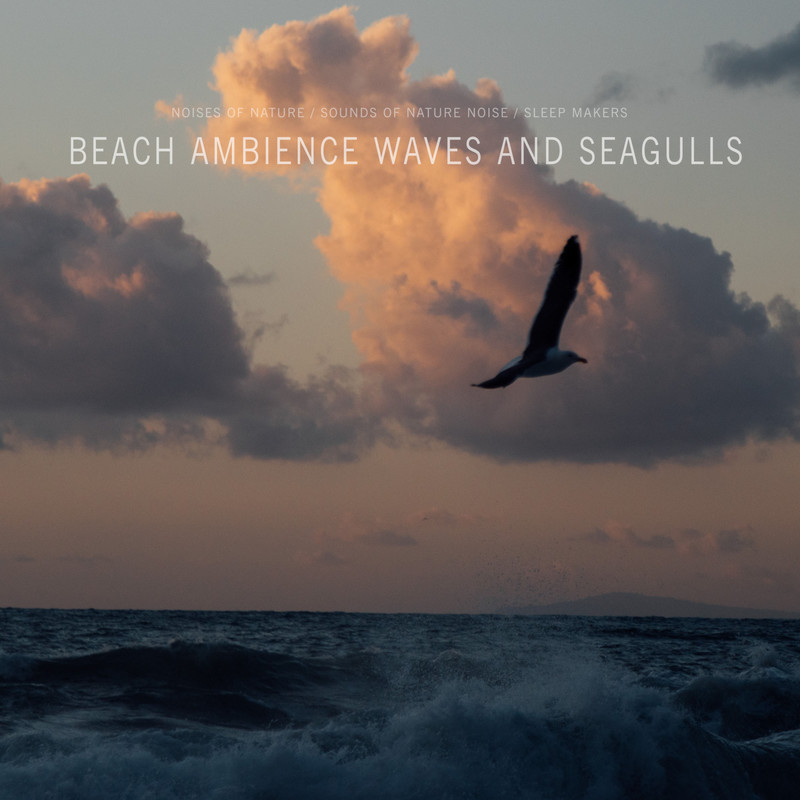 AmbientSoundsofOceanandSeagulls封面