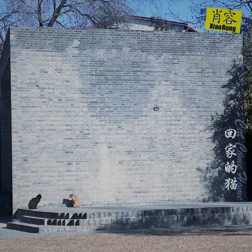 回家的猫(Demo)封面