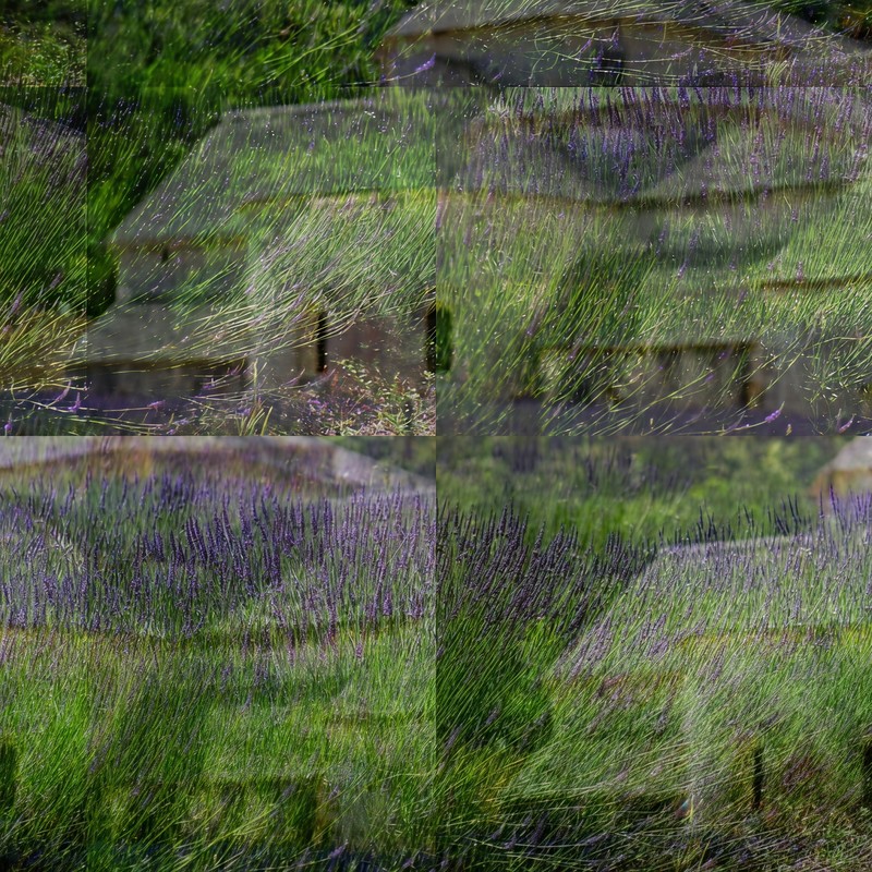 Dering封面
