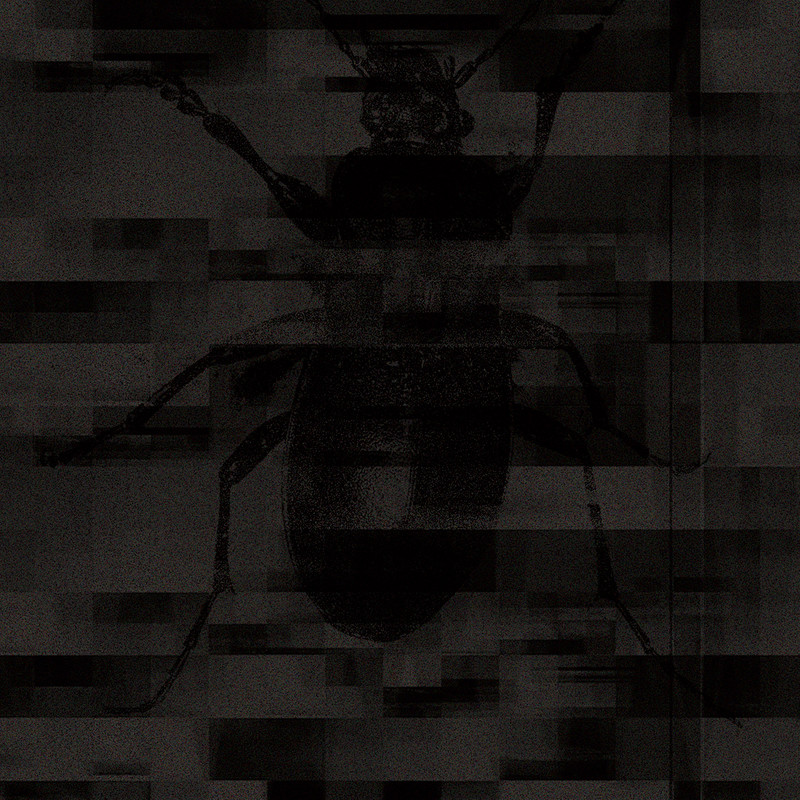 TheManWhoEscaped封面